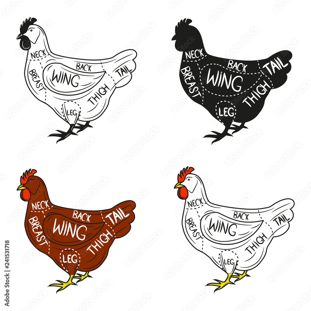 Chicken cuts diagram. Cut of meat set. Сolor, black and black and white