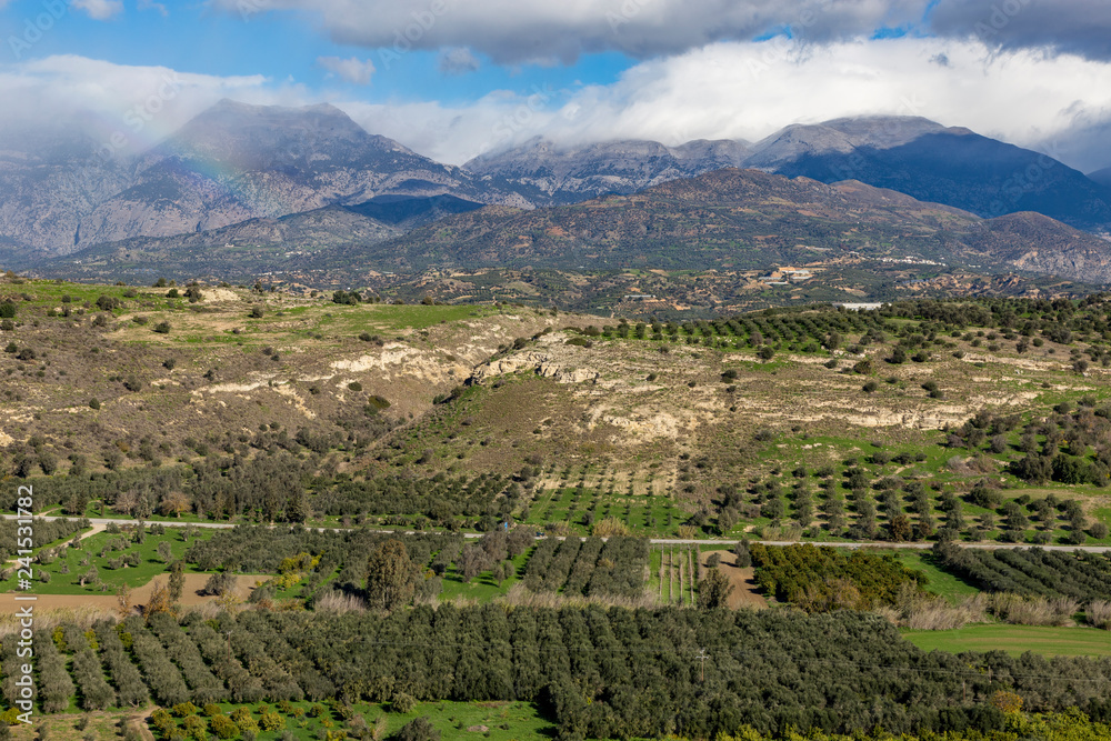 Olive trees plantations and snowy mountains in Crete Greece