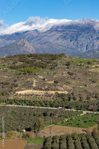 Olive trees plantations and snowy mountains in Crete Greece