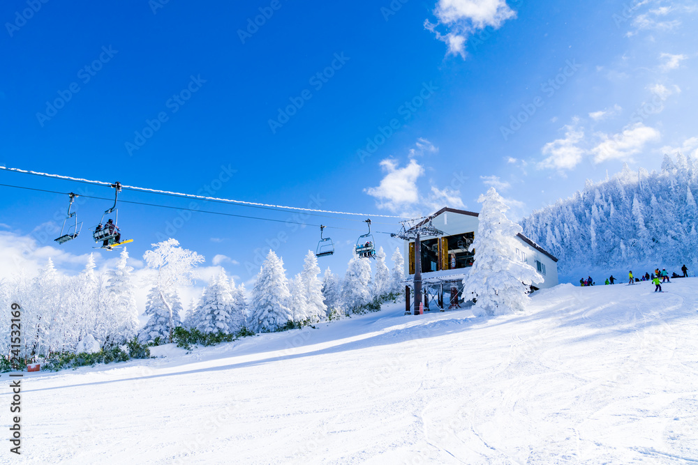 Obraz premium 風景物語（志賀高原の冬）