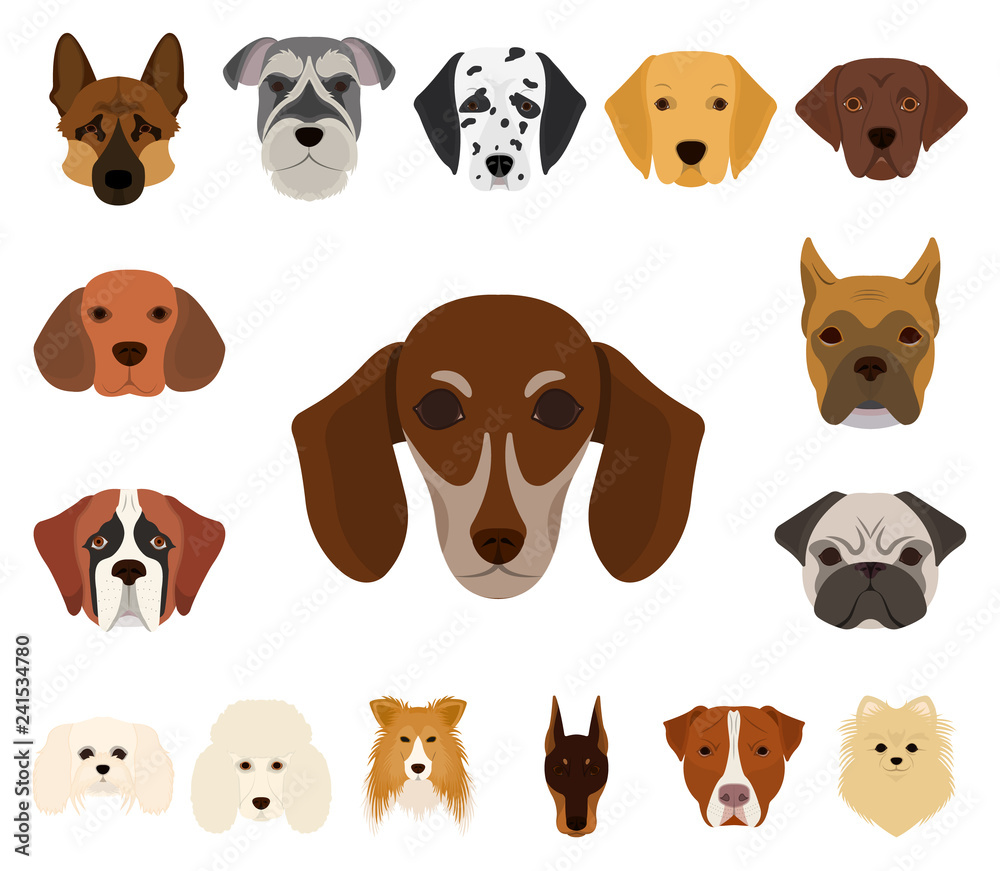 Dog breeds cartoon icons in set collection for design.Muzzle of a dog vector symbol stock web illustration. Dog breeds cartoon icons in set collection for design.Muzzle of a dog vector symbol stock web illustration.