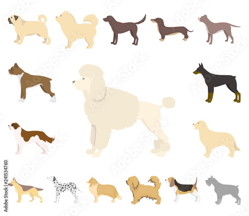 Dog breeds cartoon icons in set collection for design.Dog pet vector symbol stock web illustration. © pandavector