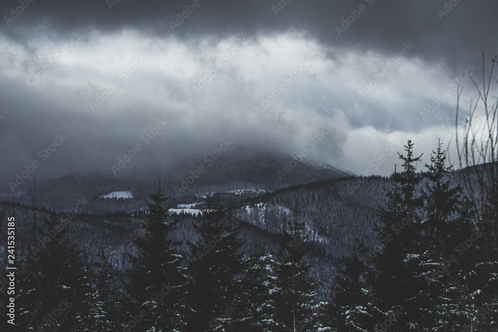 Winter landscape in Carpathian mountains, Hryniavy mountains