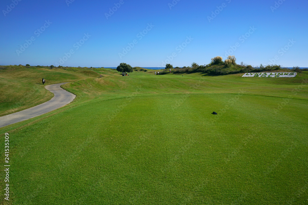 Links golf course and ball Links golf course and ball
