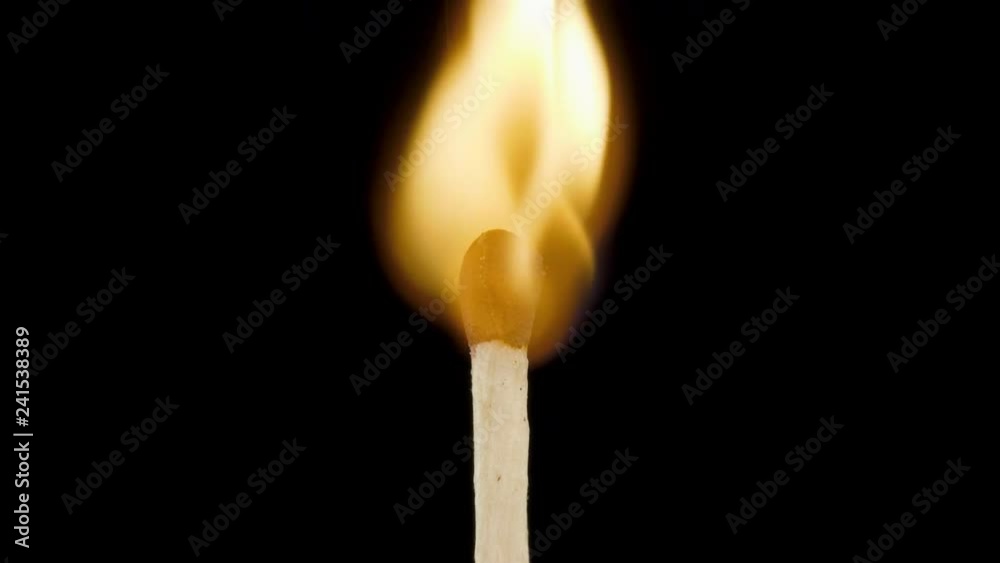 Macro fire burning on matchstick, studio shot isolated on black background Macro fire burning on matchstick, studio shot isolated on black background