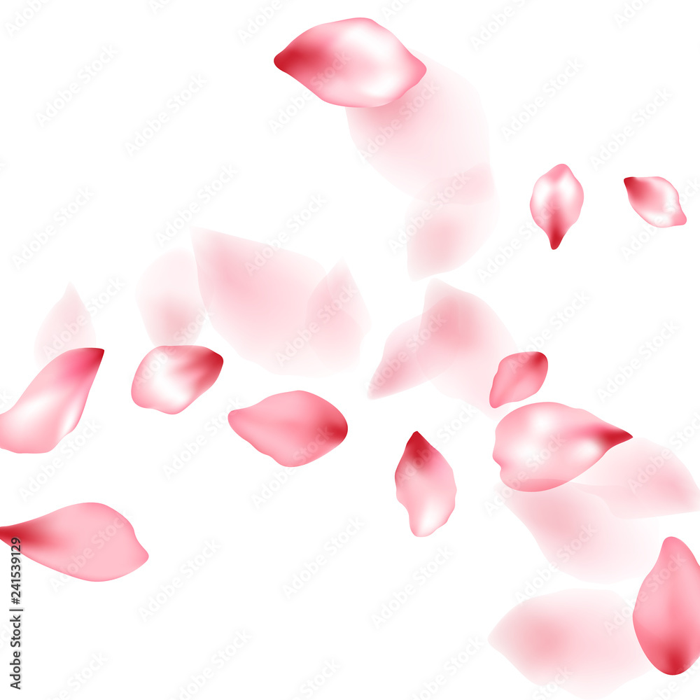 Apple flower flying petals isolated on white. Detailed beauty salon background. Japanese sakura petals spring confetti, blossom elements flying. Falling cherry bloom flower parts vector. Apple flower flying petals isolated on white. Detailed beauty salon background. Japanese sakura petals spring confetti, blossom elements flying. Falling cherry bloom flower parts vector.
