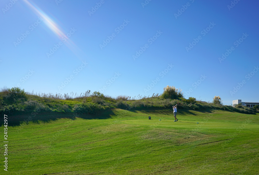 Links golf course and ball Links golf course and ball