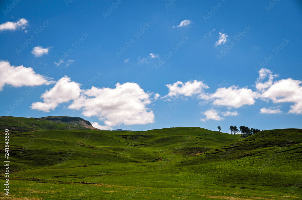 Lush Hills and Blue Sky
