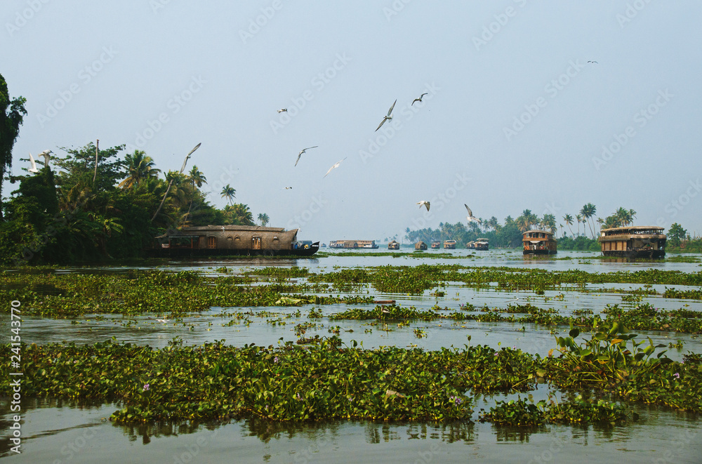 House Boats on the River in Alappuzha, Kerala, India