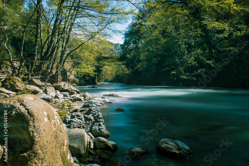 Lao river in forest Italy