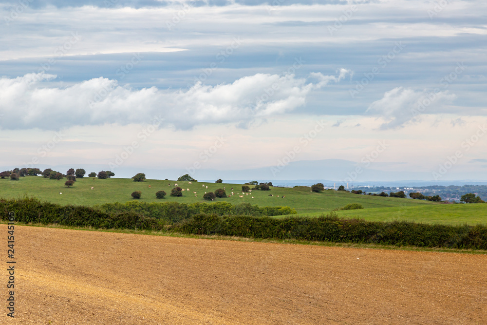 A scenic view over Isle of Wight countryside