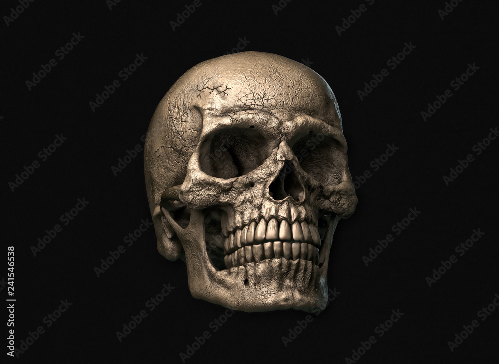 Human skull on Rich Colors a Black Background. The concept of death, horror. A symbol of spooky Halloween. 3d rendering illustration. Human skull on Rich Colors a Black Background. The concept of death, horror. A symbol of spooky Halloween. 3d rendering illustration.