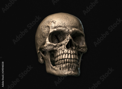 Human skull on Rich Colors a Black Background. The concept of death, horror. A symbol of spooky Halloween. 3d rendering illustration.