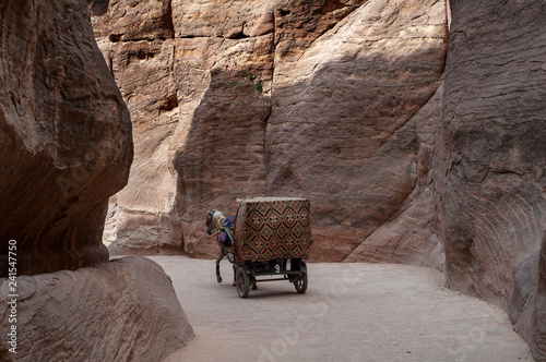 Tourist transport near entrance to Petra, Jordan
 photo