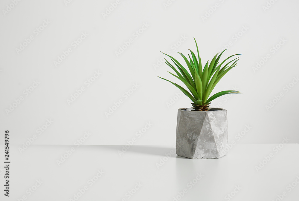 Green plant in pot on light background Green plant in pot on light background