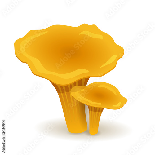 chanterelles mushrooms. vegetable healthy food. mushrooms isolated on white background. Vector cartoon close-up illustration.