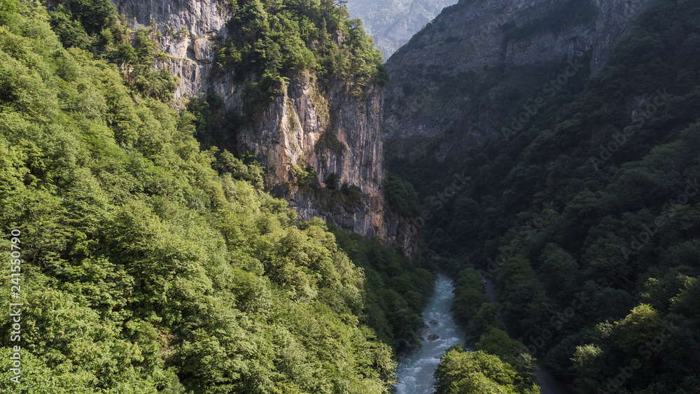Aerial View Under Green Coniferous Forest With River In Mountain In The Republic Of Abkhazia In The North Caucasus