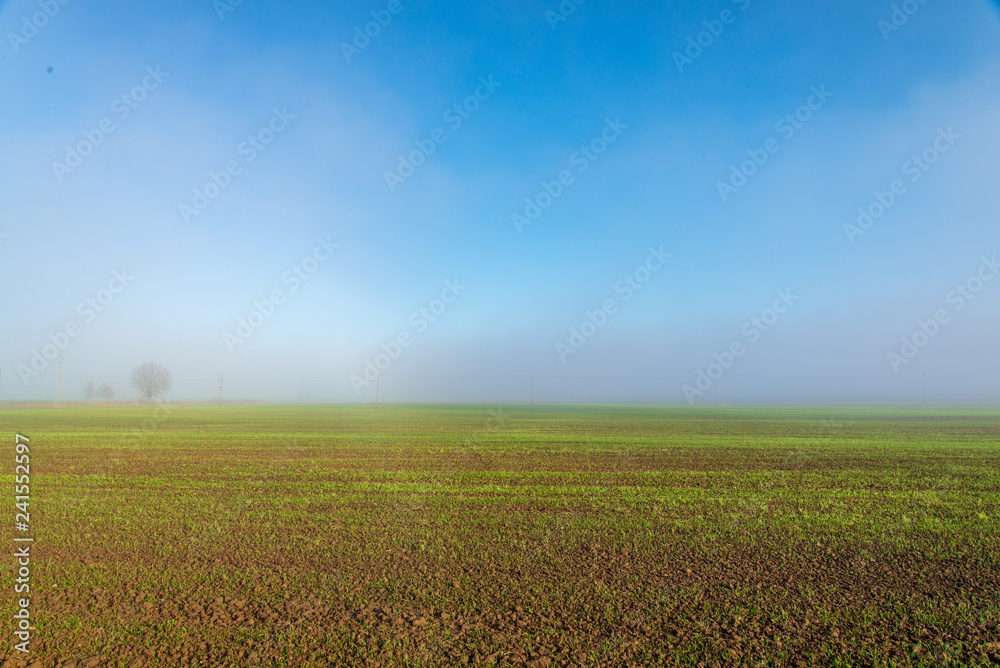 morning mist fog over meadows morning mist fog over meadows