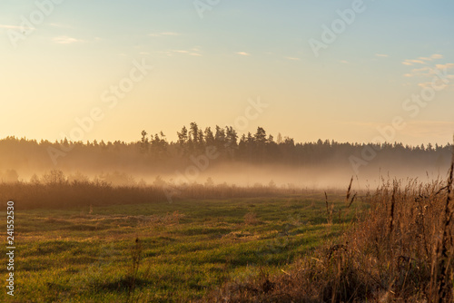 morning mist fog over meadows © Martins Vanags