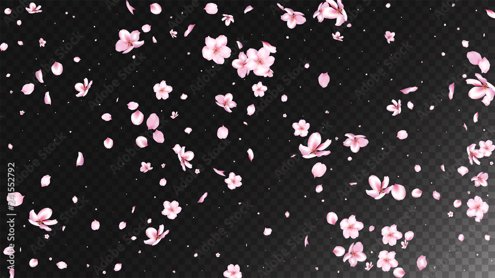 Nice Sakura Blossom Isolated Vector. Feminine Flying 3d Petals Wedding Design. Japanese Funky Flowers Wallpaper. Valentine, Mother's Day Realistic Nice Sakura Blossom Isolated on Black
