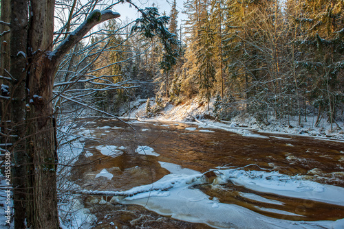 forest river in winter. Amata in Latvia