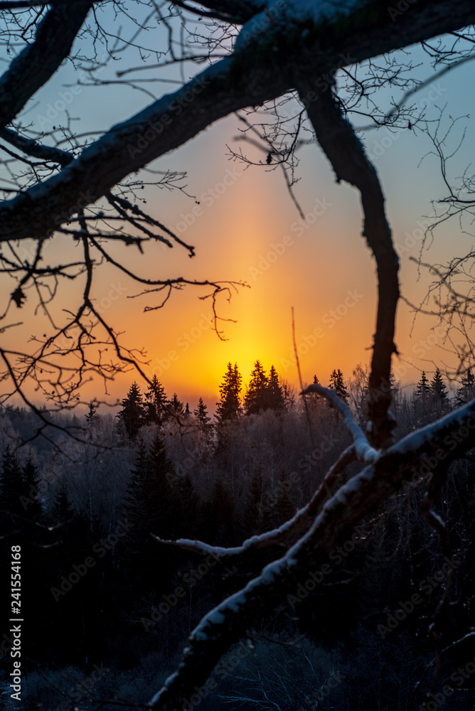 cold sunrise in winter forest with sun light pillar cold sunrise in winter forest with sun light pillar