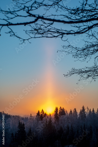 cold sunrise in winter forest with sun light pillar