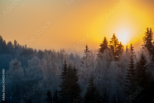 cold sunrise in winter forest with sun light pillar © Martins Vanags