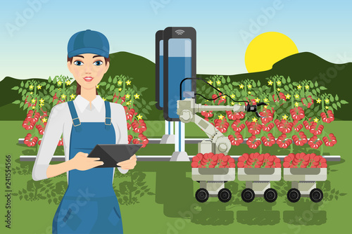 Robot sweeper picks tomatoes. Smart farming. Technology in agriculture.