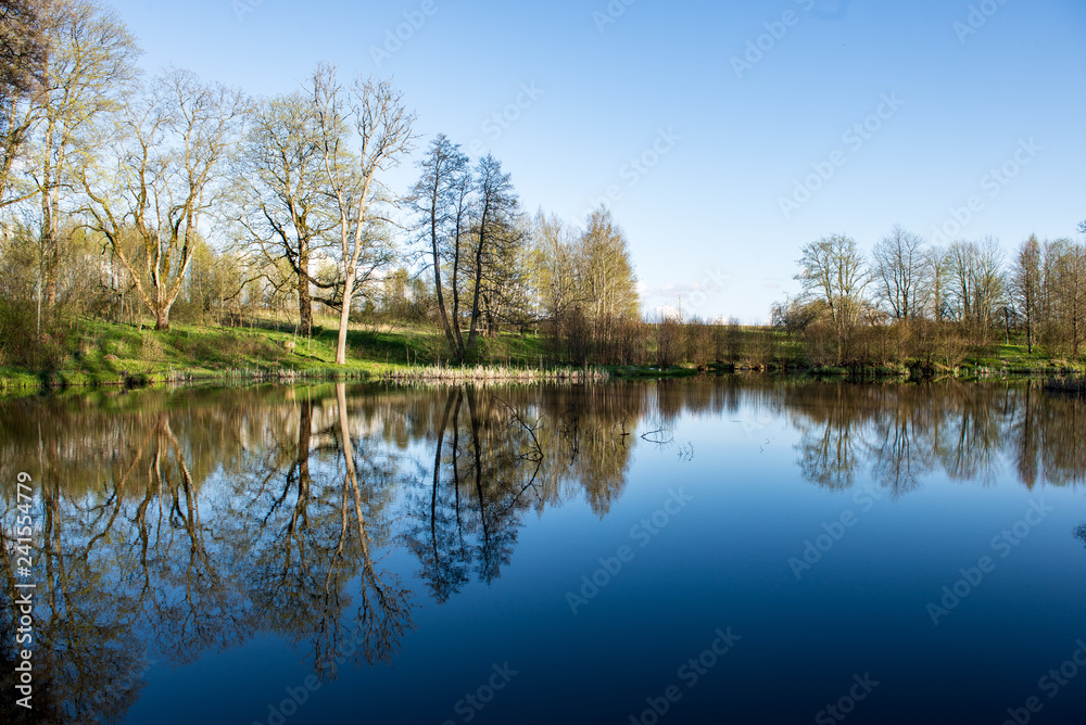 beautiful summer day at the lake, tree reflections in blue water