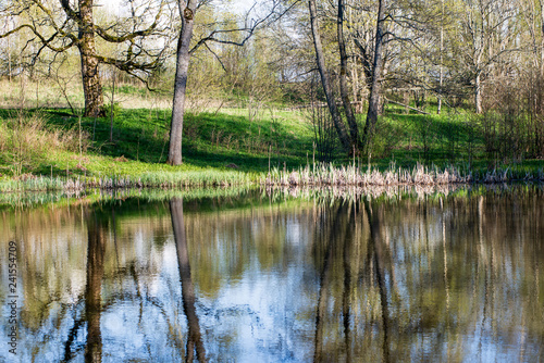 beautiful summer day at the lake, tree reflections in blue water