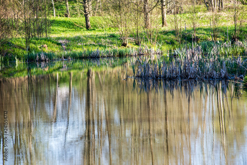 Fototapeta Naklejka Na Ścianę i Meble -  beautiful summer day at the lake, tree reflections in blue water