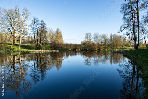 beautiful summer day at the lake, tree reflections in blue water