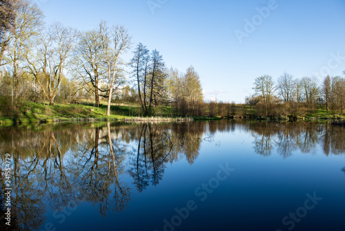 beautiful summer day at the lake, tree reflections in blue water