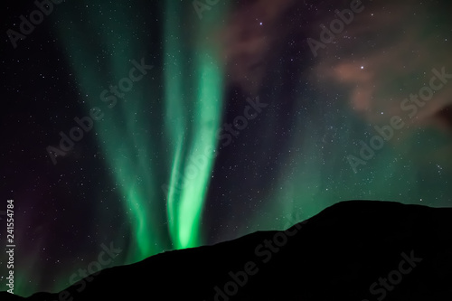Amazing Aurora Borealis in North Norway  Kvaloya   mountains in the background