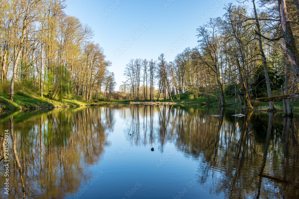 beautiful summer day at the lake, tree reflections in blue water beautiful summer day at the lake, tree reflections in blue water