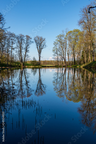 beautiful summer day at the lake, tree reflections in blue water