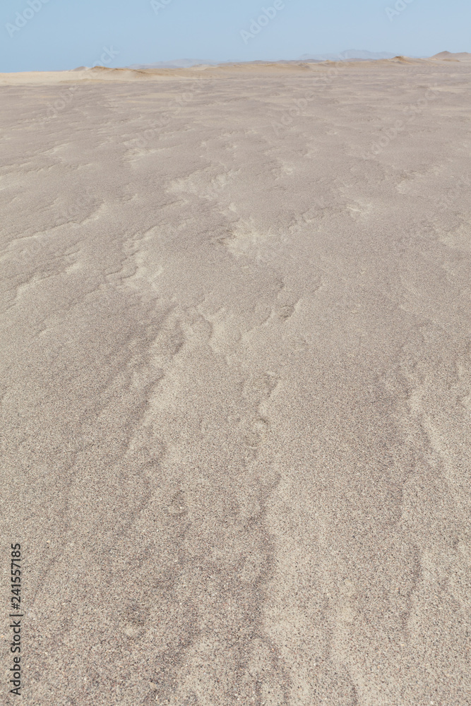 Obraz premium Paracas reserve, Peru.