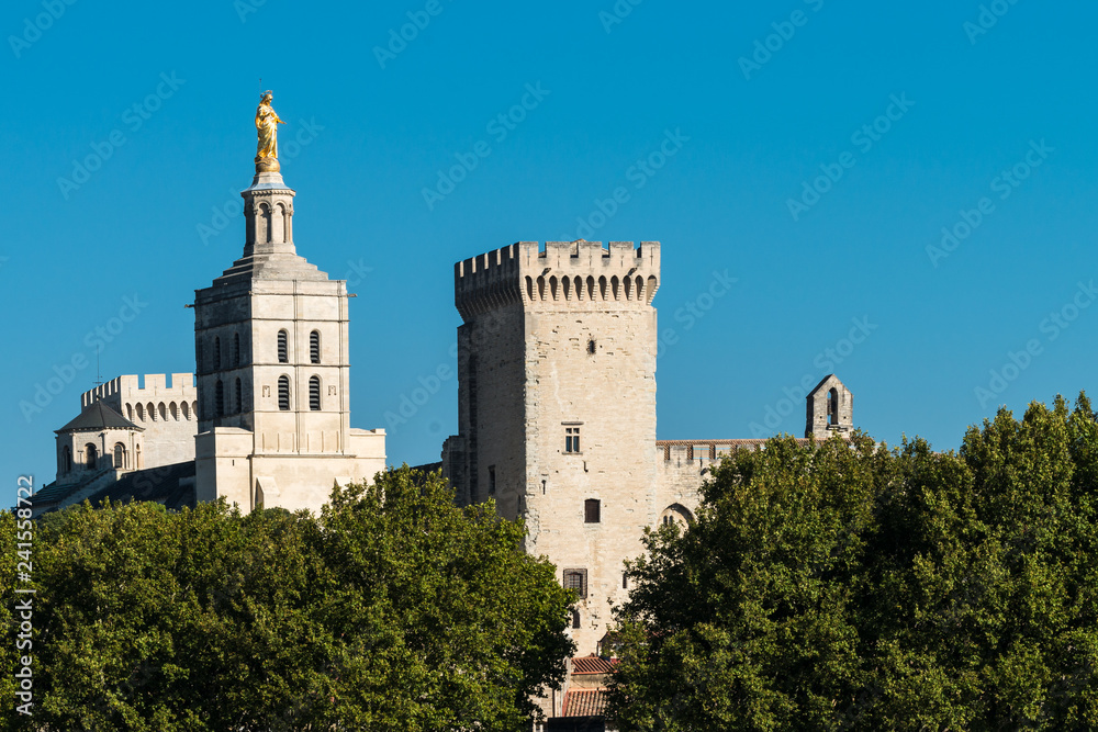 Blick auf Kathedrale und Papstpalast in Avignon