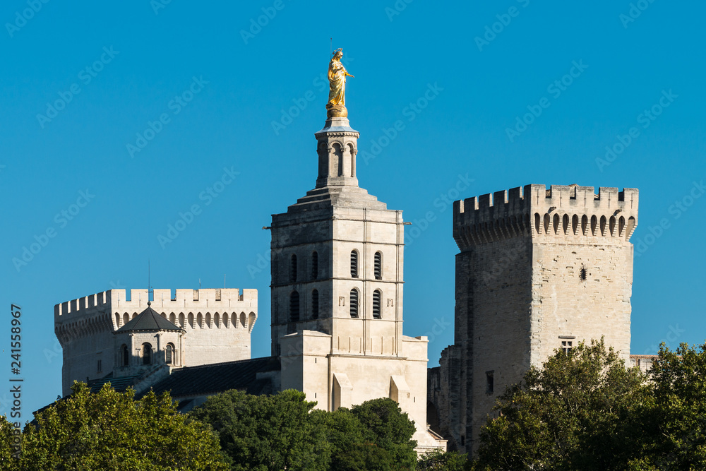 Blick auf Kathedrale und Papstpalast in Avignon