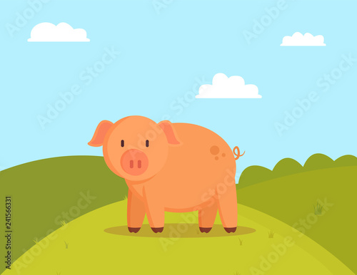 Pig on Green Glade  Image of Fatty Domestic Pet