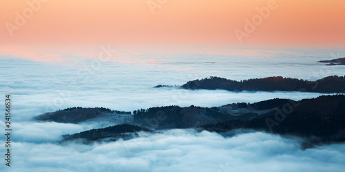 Nebelmorgen im Schwarzwald