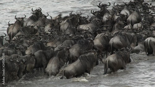 Mara Crossing