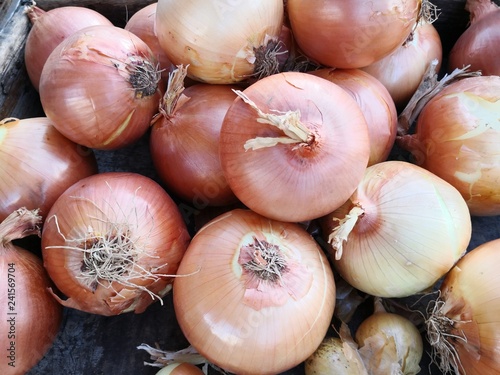Fresh onions full frame background at market