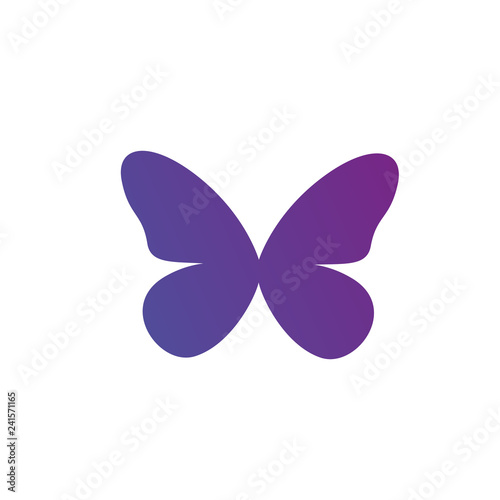 Purple gradient Butterfly L...
