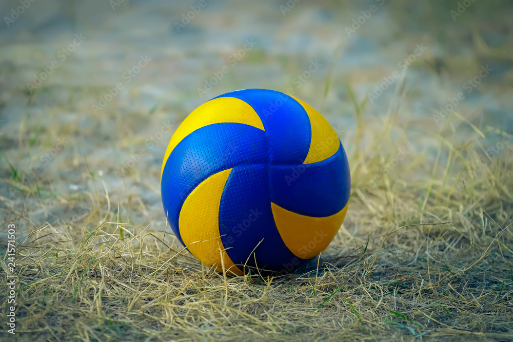 sports ball on a grass field