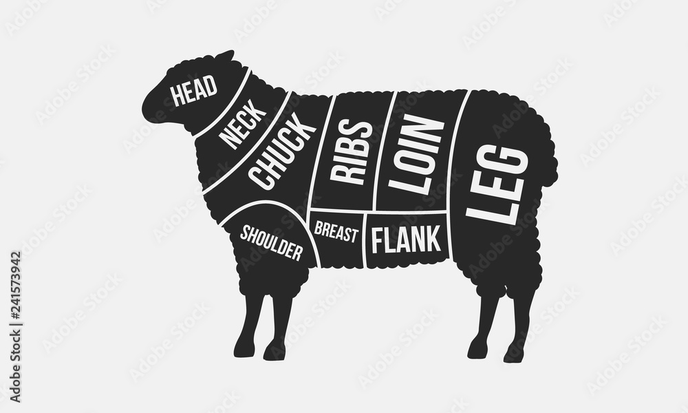 Meat cuts. Cuts of Mutton. Sheep silhouette isolated on white