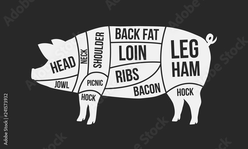 Cuts of pork. Meat cuts. Pig silhouette isolated on black background. Vintage Poster for butcher shop. Retro diagram. Vector illustration