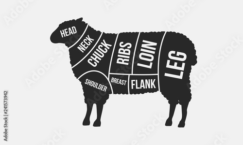 Meat cuts. Cuts of Mutton. Sheep silhouette isolated on white background. Vintage Poster for butcher shop. Retro diagram. Vector illustration