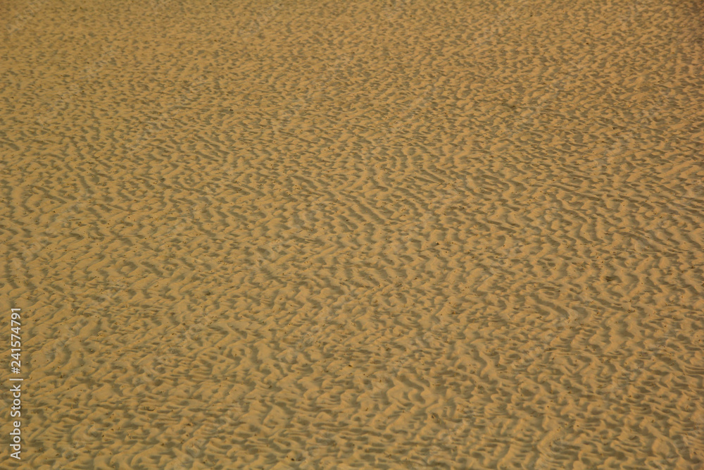 sand textured on the beach sand textured on the beach